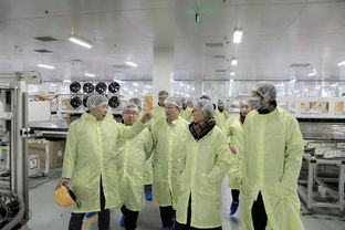 晶硅制造事業部各級領導蒞臨海寧工廠指導工作